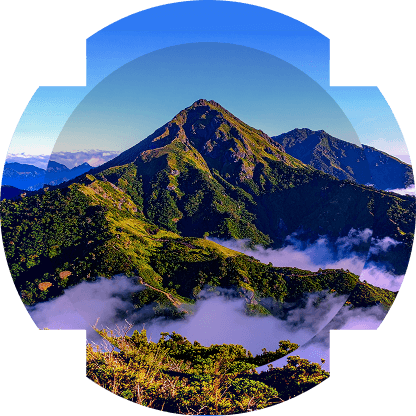 Carbon credits visualisation